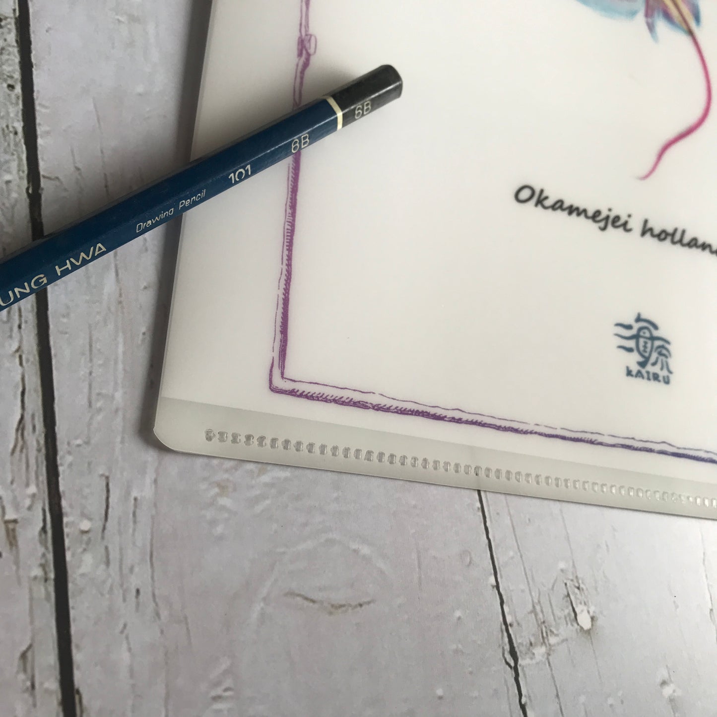 透明標本 古典文件夾 L夾 共3款 生物