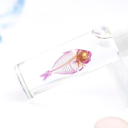 Transparent specimens of catfish fish specimens Taiwan marine life