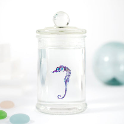 Transparent specimen seahorse fish specimen Taiwan marine life