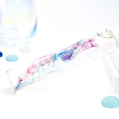 Transparent specimen glass shrimp shrimp specimen Taiwan marine life