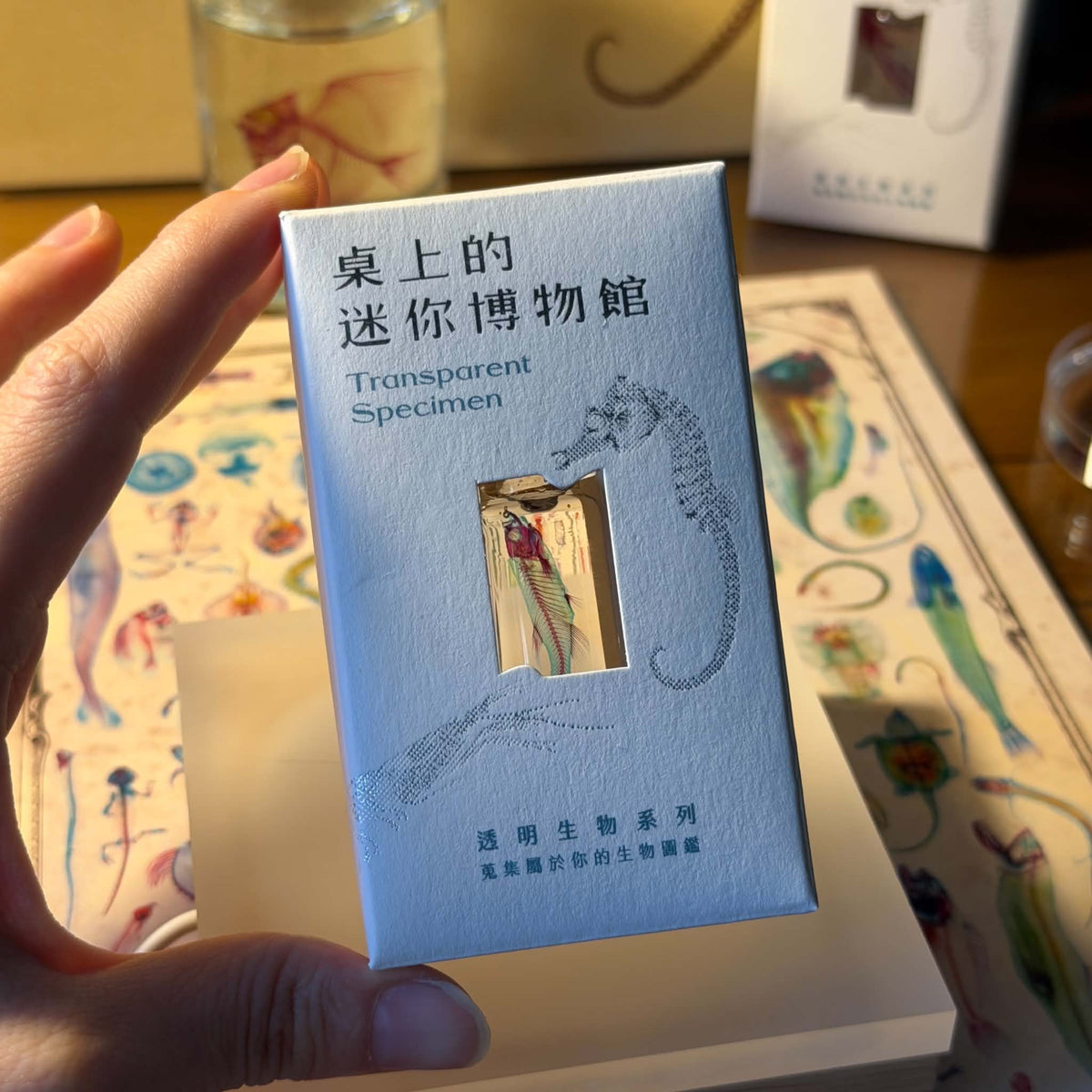 <官方特典版預購>透明博物館：從透明標本製作解密到278種海陸生物圖鑑，透視骨骼、形態與生命之美