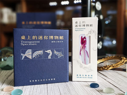 烏魚_Mugil cephalus_透明生物標本系列_桌上的迷你博物館