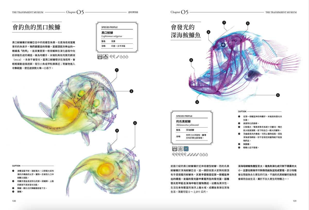 <官方特典版預購>透明博物館：從透明標本製作解密到278種海陸生物圖鑑，透視骨骼、形態與生命之美