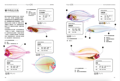 <官方特典版預購>透明博物館：從透明標本製作解密到278種海陸生物圖鑑，透視骨骼、形態與生命之美