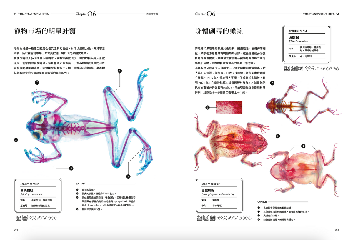 <官方特典版預購>透明博物館：從透明標本製作解密到278種海陸生物圖鑑，透視骨骼、形態與生命之美