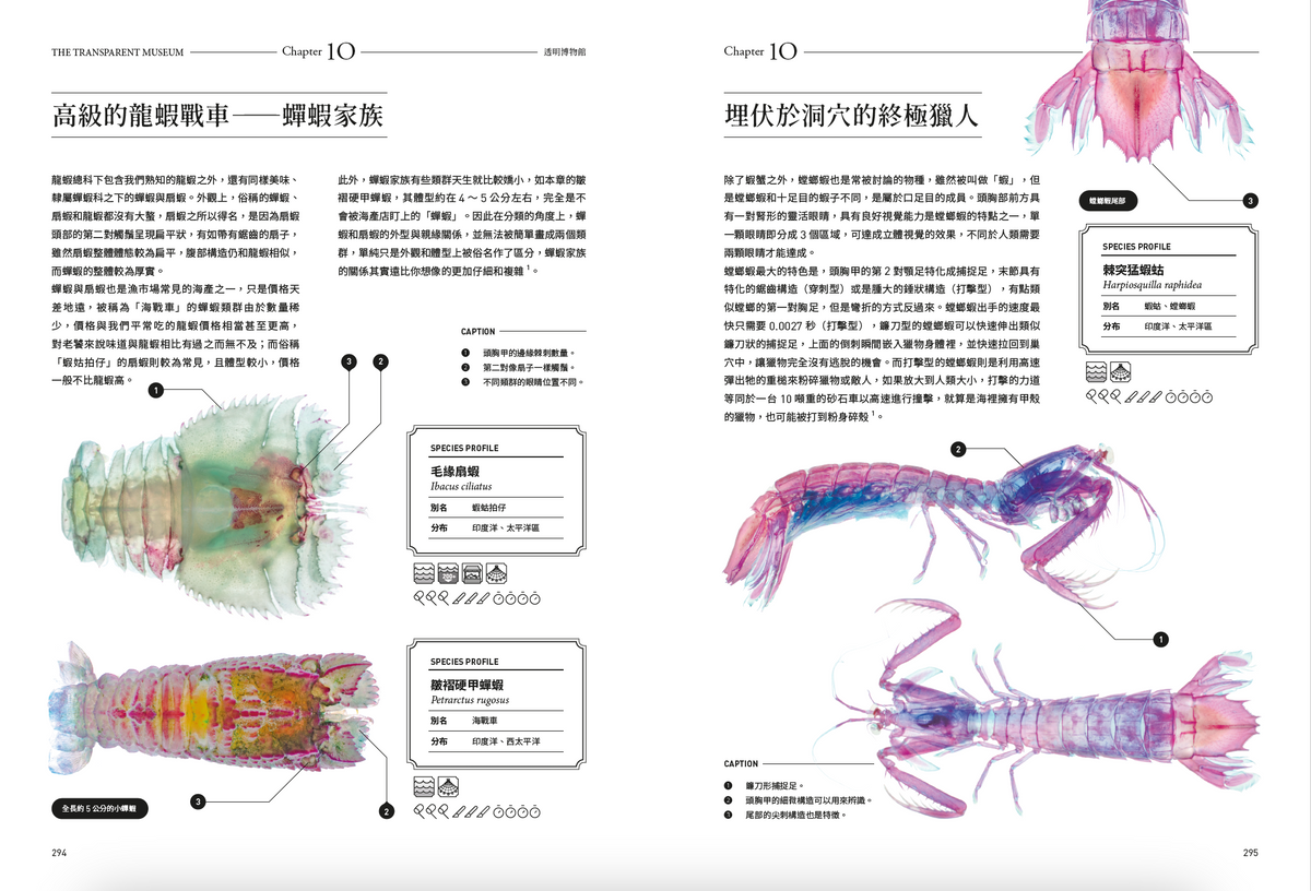 <官方特典版預購>透明博物館：從透明標本製作解密到278種海陸生物圖鑑，透視骨骼、形態與生命之美