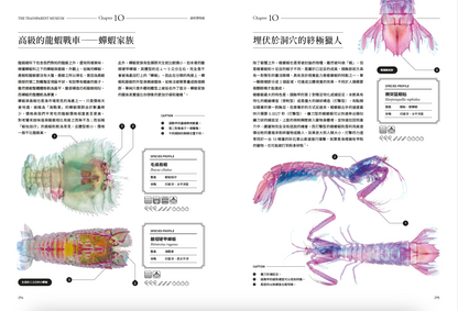 <官方特典版預購>透明博物館：從透明標本製作解密到278種海陸生物圖鑑，透視骨骼、形態與生命之美